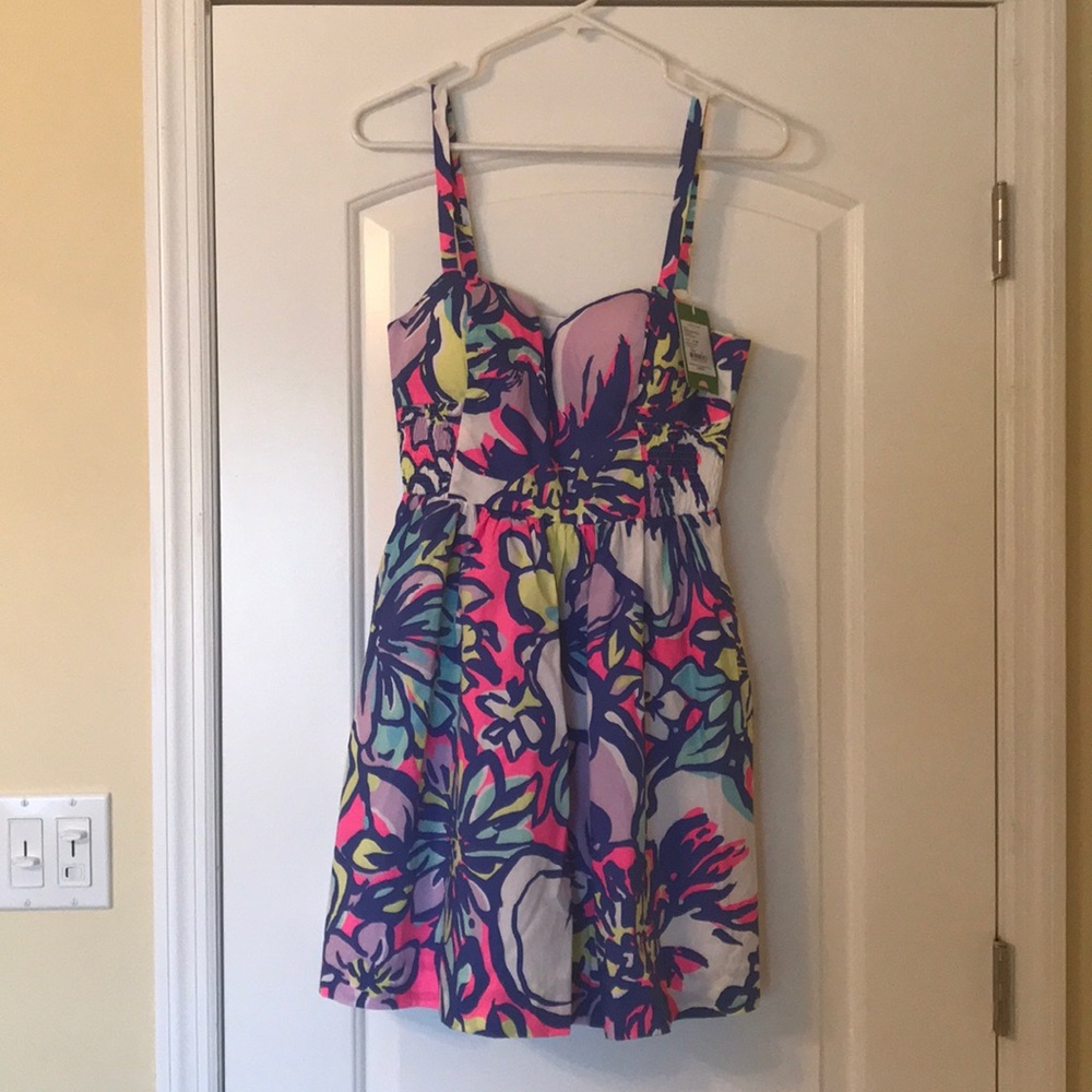Lilly Pulitzer Christine Dress Size 6